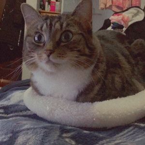 Meet your Posher, Brooklyn